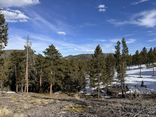 Best Mountain Biking Trails in Flying J Ranch Park | AllTrails