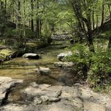 Dam Mountain Trail, Arkansas - 660 Reviews, Map | AllTrails