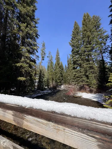 Best Hikes and Trails in Shevlin Park | AllTrails