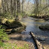 Big Berea Trail, Bull Creek Trail, and White Pine Loop, North Carolina ...