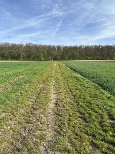 Oeffinger Rundweg - Fellbach