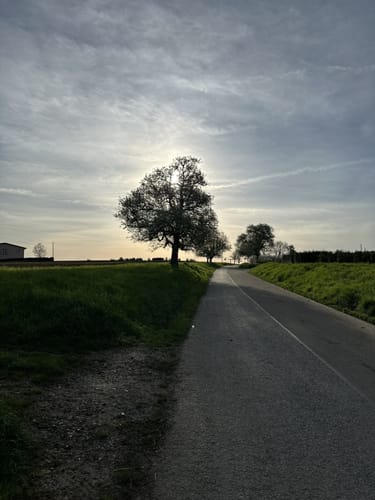 Oeffinger Rundweg - Fellbach
