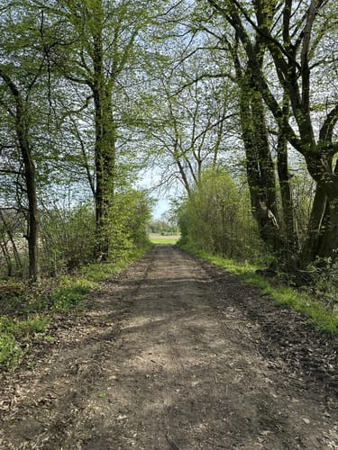 Oeffinger Rundweg - Fellbach