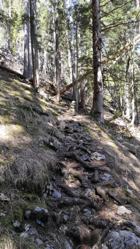 Pflasterbachhörndl - Rabenstein Nord - Rabenstein Süd
