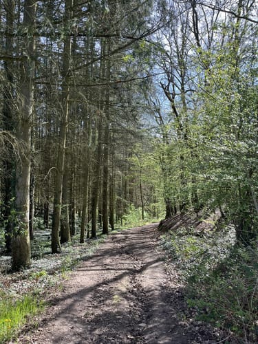 Löfer Rabenlaypfad (Premiumspazierwanderweg)