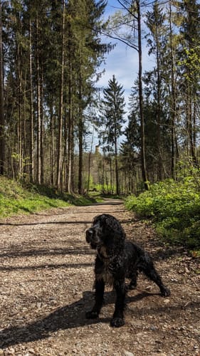 Wellenburg - Anhauser Weiher Rundwanderung