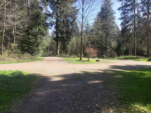 Römerwald (Premiumspazierwanderweg)