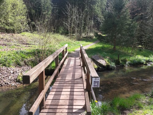 Römerwald (Premiumspazierwanderweg)