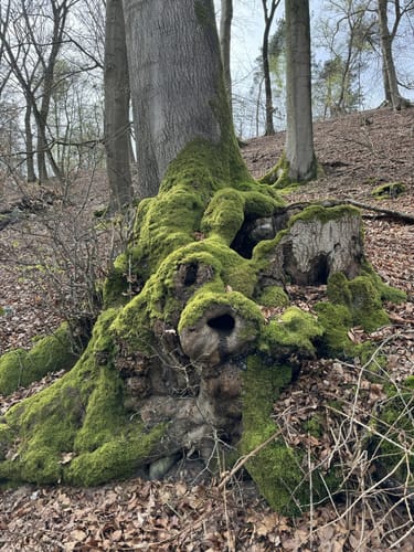 Große Leucht Runde