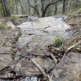 Edward's Point Trail, Tennessee - 2,542 Reviews, Map | AllTrails