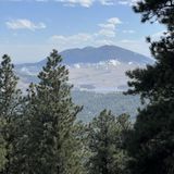 Sheep Mountain Trail, Colorado - 611 Reviews, Map | AllTrails