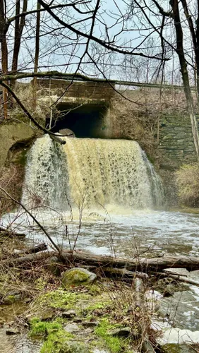 Best Bird Watching Trails in North Rose | AllTrails