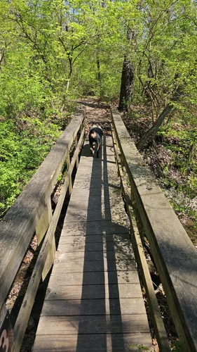 Best Hikes and Trails in Pleasant Ridge Park | AllTrails