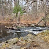 Danforth Falls Loop Trail, Massachusetts - 581 Reviews, Map | AllTrails