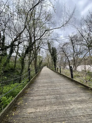 Best Forest Trails in Mount Vernon - EyJidWNrZXQiOiJhc3NldHMuYWxsdHJhaWxzLmNvbSIsImtleSI6InVwbG9hZHMvcGhvdG8vaW1hZ2UvNzI2MzM4ODkvZThiMjg0MjQ5MDljY2MxYjE0MWExMmI2ZTI5YjIwZTYuanBnIiwiZWRpdHMiOnsidG9Gb3JtYXQiOiJ3ZWJwIiwicmVzaXplIjp7IndpZHRoIjo1MDAsImhlaWdodCI6NTAwLCJmaXQiOiJpbnNpZGUifSwicm90YXRlIjpudWxsLCJqcGVnIjp7InRyZWxsaXNRdWFudGlzYXRpb24iOnRydWUsIm92ZXJzaG9vdERlcmluZ2luZyI6dHJ1ZSwib3B0aW1pc2VTY2FucyI6dHJ1ZSwicXVhbnRpc2F0aW9uVGFibGUiOjN9fX0=