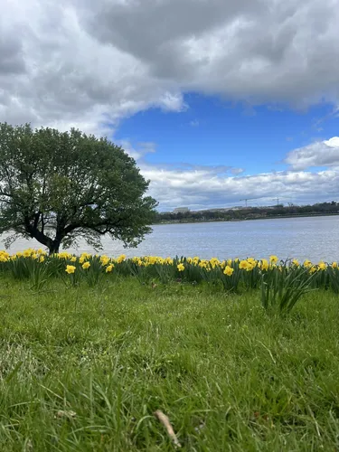 Best Forest Trails in Mount Vernon - EyJidWNrZXQiOiJhc3NldHMuYWxsdHJhaWxzLmNvbSIsImtleSI6InVwbG9hZHMvcGhvdG8vaW1hZ2UvNzI2MzM4OTkvYzlhNGM0NGNiZTlmMmUwN2VjNDQxNGU1MDIxYmZhNjguanBnIiwiZWRpdHMiOnsidG9Gb3JtYXQiOiJ3ZWJwIiwicmVzaXplIjp7IndpZHRoIjo1MDAsImhlaWdodCI6NTAwLCJmaXQiOiJpbnNpZGUifSwicm90YXRlIjpudWxsLCJqcGVnIjp7InRyZWxsaXNRdWFudGlzYXRpb24iOnRydWUsIm92ZXJzaG9vdERlcmluZ2luZyI6dHJ1ZSwib3B0aW1pc2VTY2FucyI6dHJ1ZSwicXVhbnRpc2F0aW9uVGFibGUiOjN9fX0=