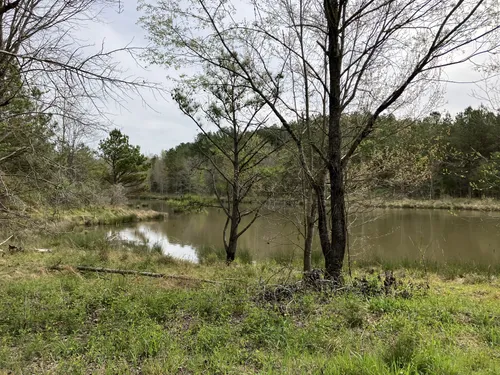 Historic Town Treks: 5 Stunning Hiking Trails in Corinth – Mississippi