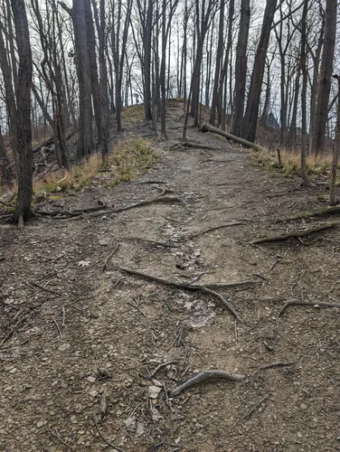 Lakefront Beauty: 5 Beautiful Hiking Trails in Euclid – Ohio