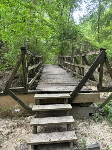 Fly Fishing the Sam: A Guidebook to Exploring the Creeks, Rivers, and  Bayous of Sam Houston National Forest — Roots, Game, and Trail