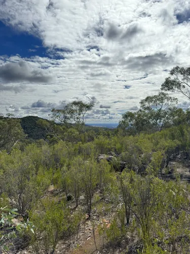 Best Hikes and Trails in Warby Ranges State Park | AllTrails