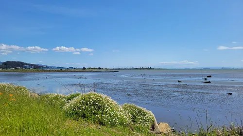 Best Hikes and Trails in Point Isabel Regional Shoreline | AllTrails