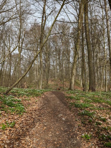 Rund um den Feldberger Haussee