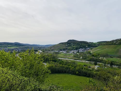 Ahrsteig Etappe 7: Bad Neuenahr Mitte - Sinzig