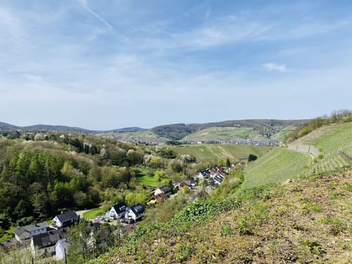 Ahrsteig Etappe 7: Bad Neuenahr Mitte - Sinzig