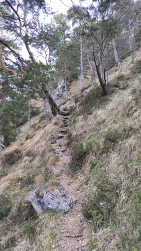 Saalachsee zum Predigtstuhl via Waxriessteig