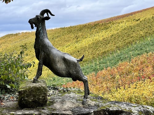 Strümpfelbacher Skulpturenpfad Nuss