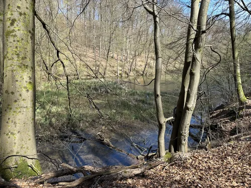 Best Views Trails in Waldschutzgebiet AllTrails