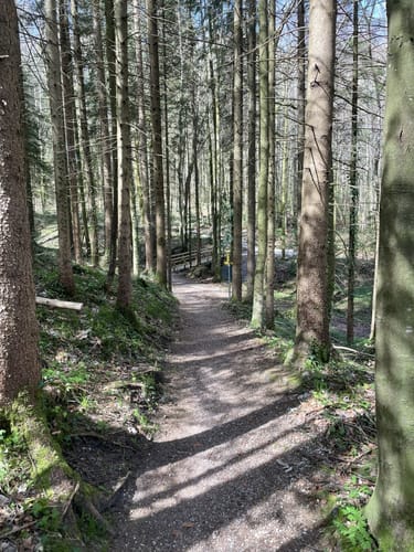 Wald-Lehrpfad Teisendorf