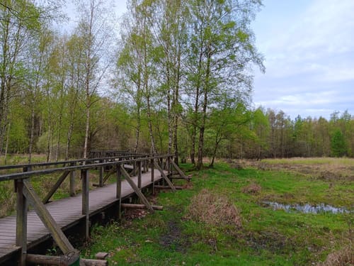 Ohligser Heide: Engelsberger Hof - Drei-Insel-Teich