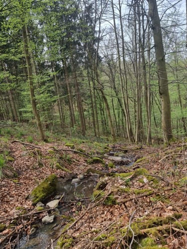 Herrenhölzle Rundweg 3