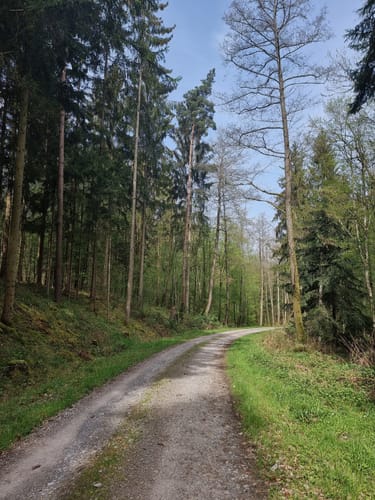 Herrenhölzle Rundweg 3