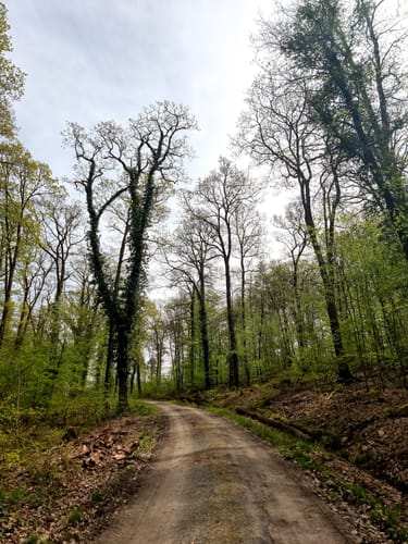 Herrenhölzle Rundweg 3