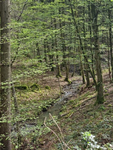 Herrenhölzle Rundweg 3