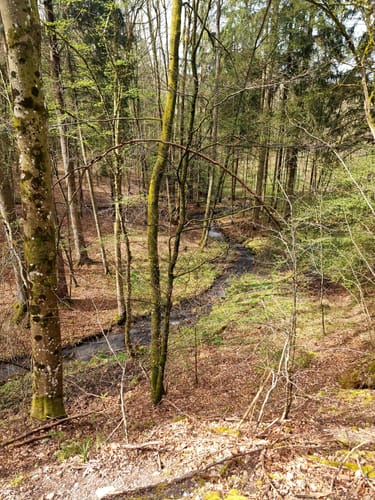Herrenhölzle Rundweg 3