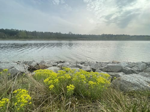 Kleine Runde am Oder-Havel-Kanal