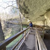 Cedar Sink Trail, Kentucky - 975 Reviews, Map | AllTrails