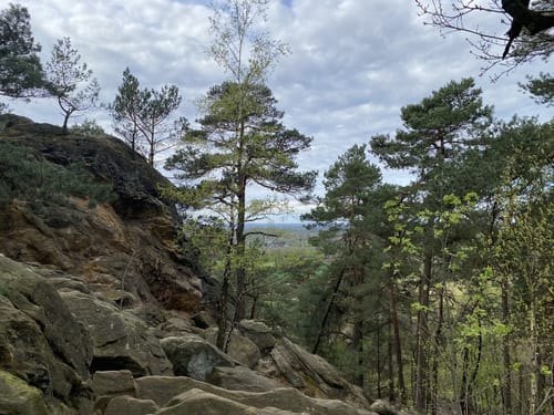 Herrmannsweg Etappe 2: Riesenbeck - Tecklenburg