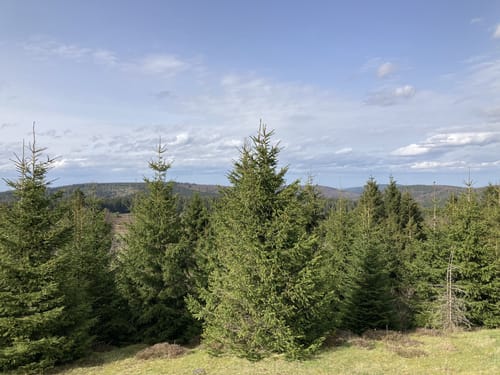 Hoppecke Quelle - Neuer Clemensberg