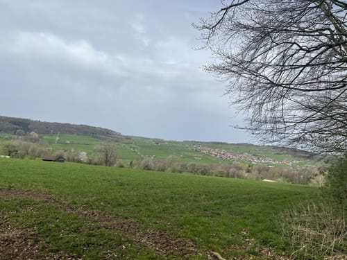 Haubentour (Extratour)