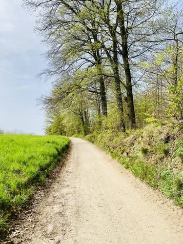 Bensheim nach Schönberg über dem Kirchberg