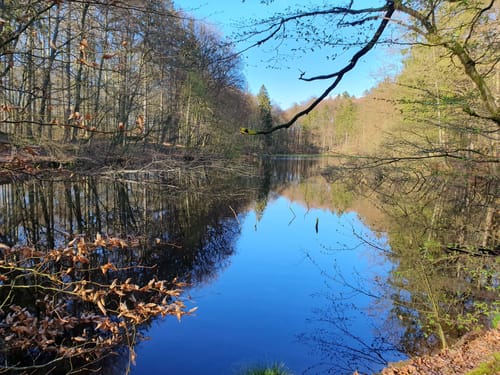 Rundwanderung in der Hahnheide ab Sängerberg