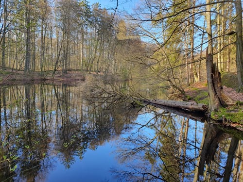 Rundwanderung in der Hahnheide ab Sängerberg
