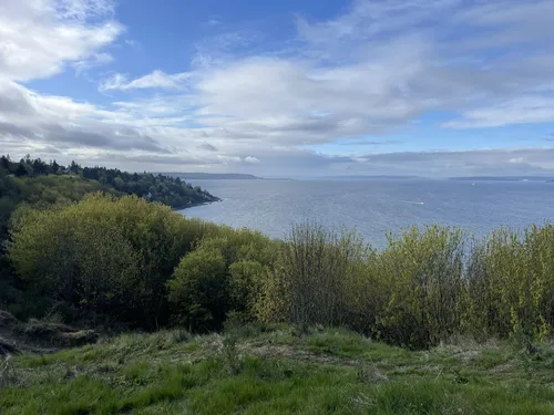 Where Can I Go for Bird Watching around Seattle: Top Scenic Spots