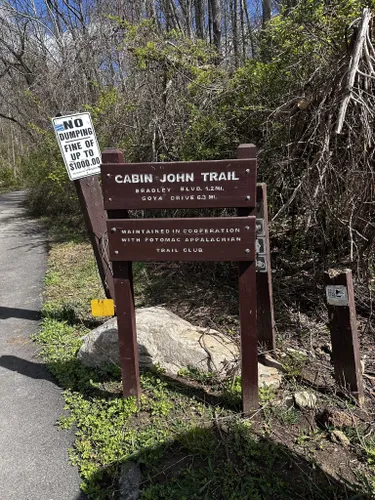 Best Forest Trails in Cabin John Regional Park | AllTrails