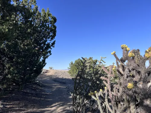 Best Short Trails in Elena Gallegos Picnic Area/Albert G. Simms Park ...