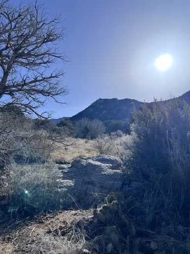 Best Short Trails in Elena Gallegos Picnic Area/Albert G. Simms Park ...